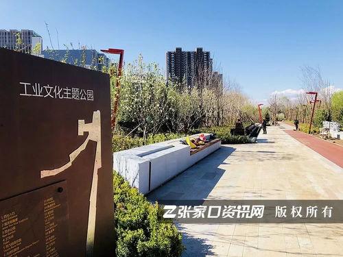 张家口公园爆料视频,揭秘公园里的惊人秘密  第3张