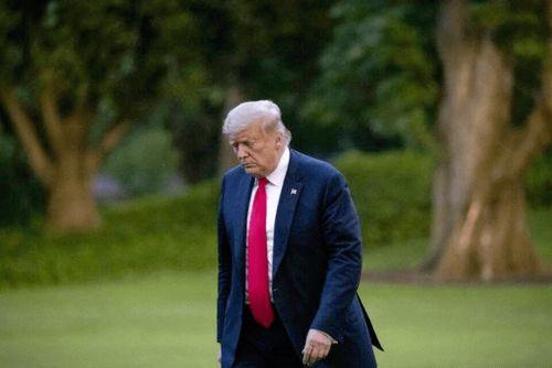 特朗普后院爆料视频播放,一场意想不到的幕后风波  第2张