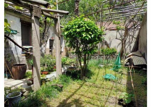 都市爆料石榴树视频下载,揭秘石榴树视频下载背后的秘密 第2张 都市爆料石榴树视频下载,揭秘石榴树视频下载背后的秘密 第2张